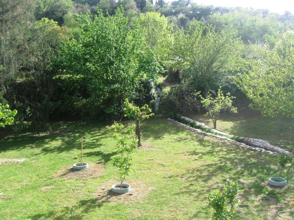 Havre De Paix Entre Mer Et Montagne A Ceret Pour 4 A 5 Pers Céret Exterior foto