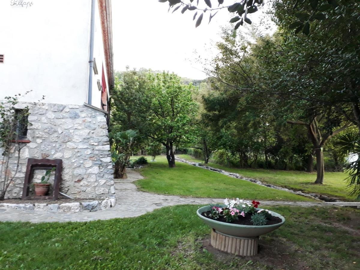 Havre De Paix Entre Mer Et Montagne A Ceret Pour 4 A 5 Pers Céret Exterior foto